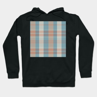 Cottagecore Aesthetic Evander 2 Hand Drawn Textured Plaid Pattern Hoodie